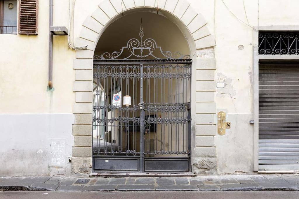 - Anthurium Florence