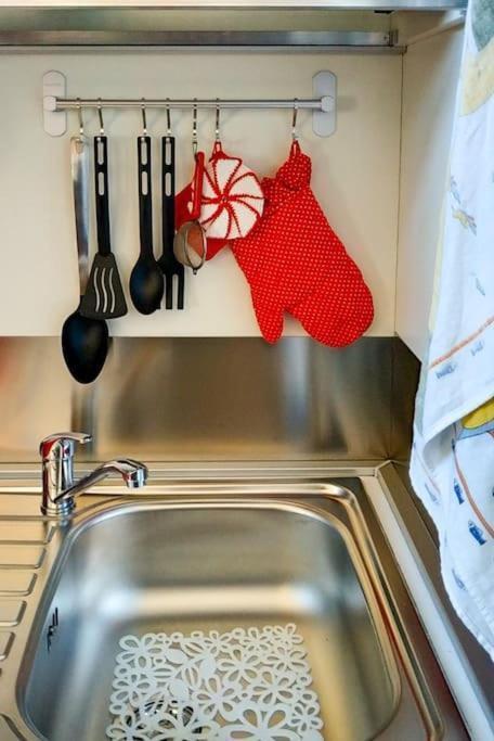 - Anthurium Apartment *