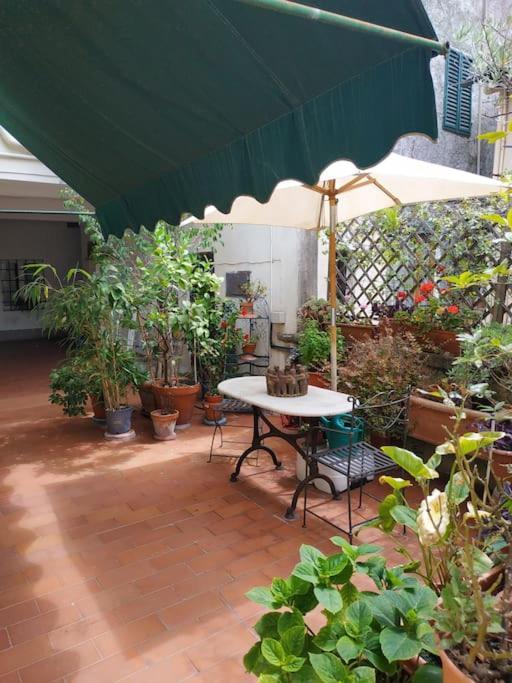 Apartment - Anthurium *