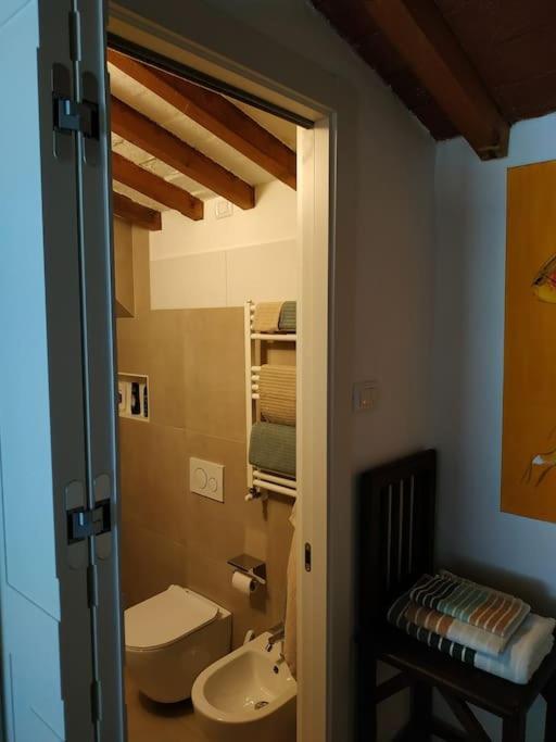 - Anthurium Apartment