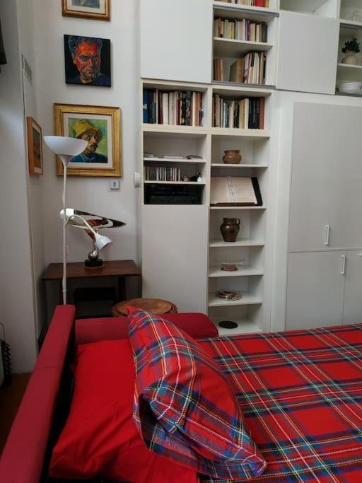 - Anthurium Florence