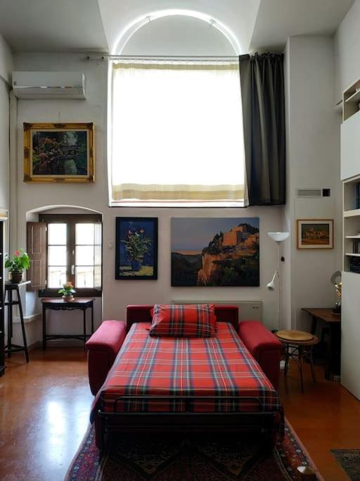 - Anthurium Apartamento