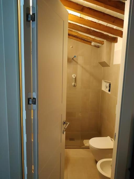 - Anthurium Apartamento
