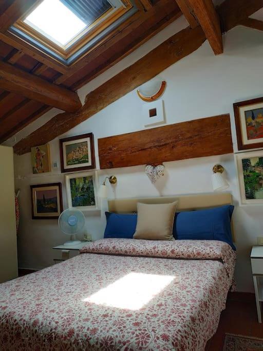 - Anthurium Apartamento Florencia