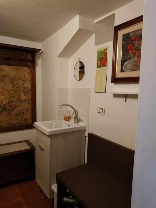 - Anthurium Apartamento Florencia
