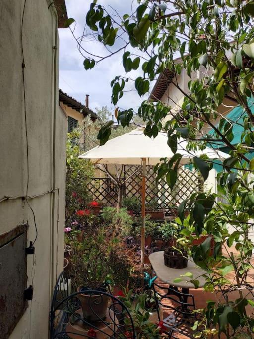 Apartamento - Anthurium Florencia